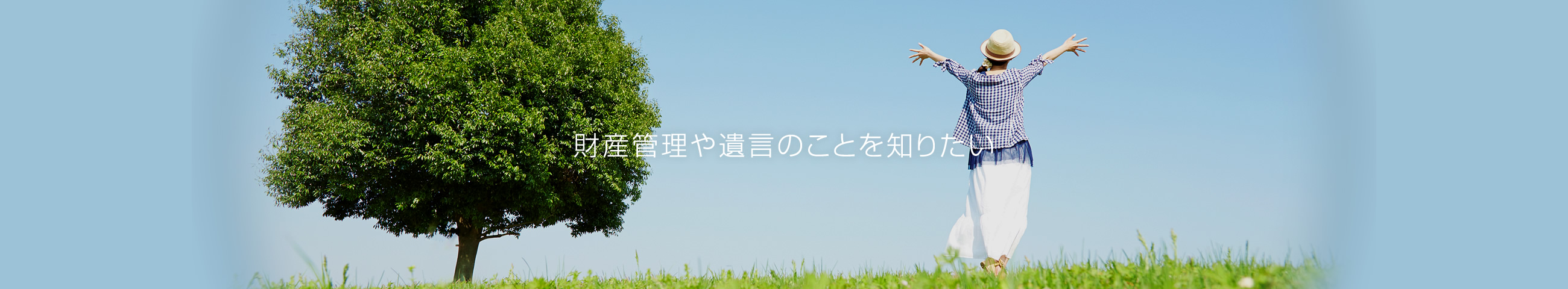 財産管理や遺言のことを知りたい